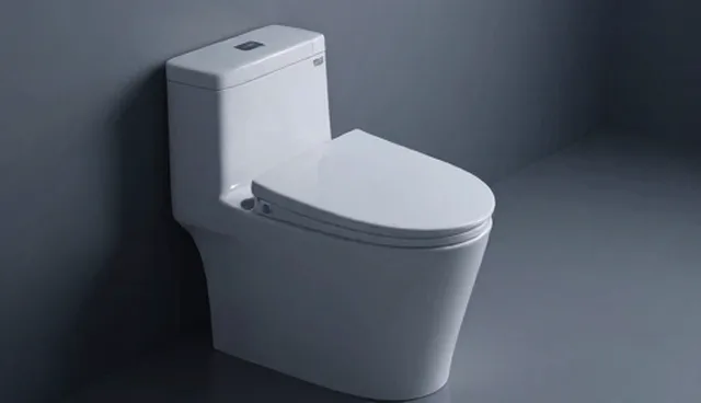 5个要点分析节水型马桶安装检查